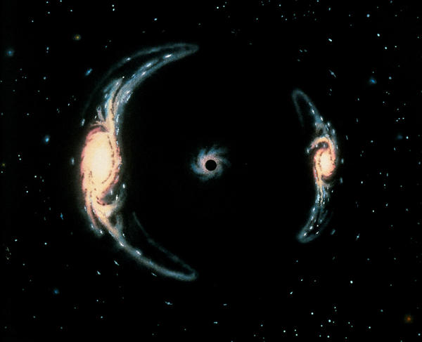 ©Jon LOMBERG/SCIENCE PHOTO LIBRARY/COSMOS