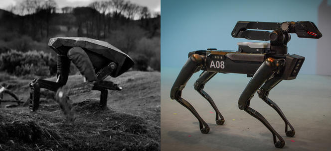 ©Netflix/Zeppotron (Collection Christophel), Laura Chiesa/Pacific Press/LightRocket via Getty Images