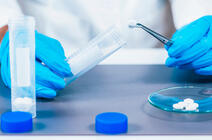 © Microgen / stock.adobe.com
